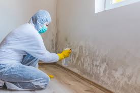 Reliable Smithville, TX Mold Remediation Solutions